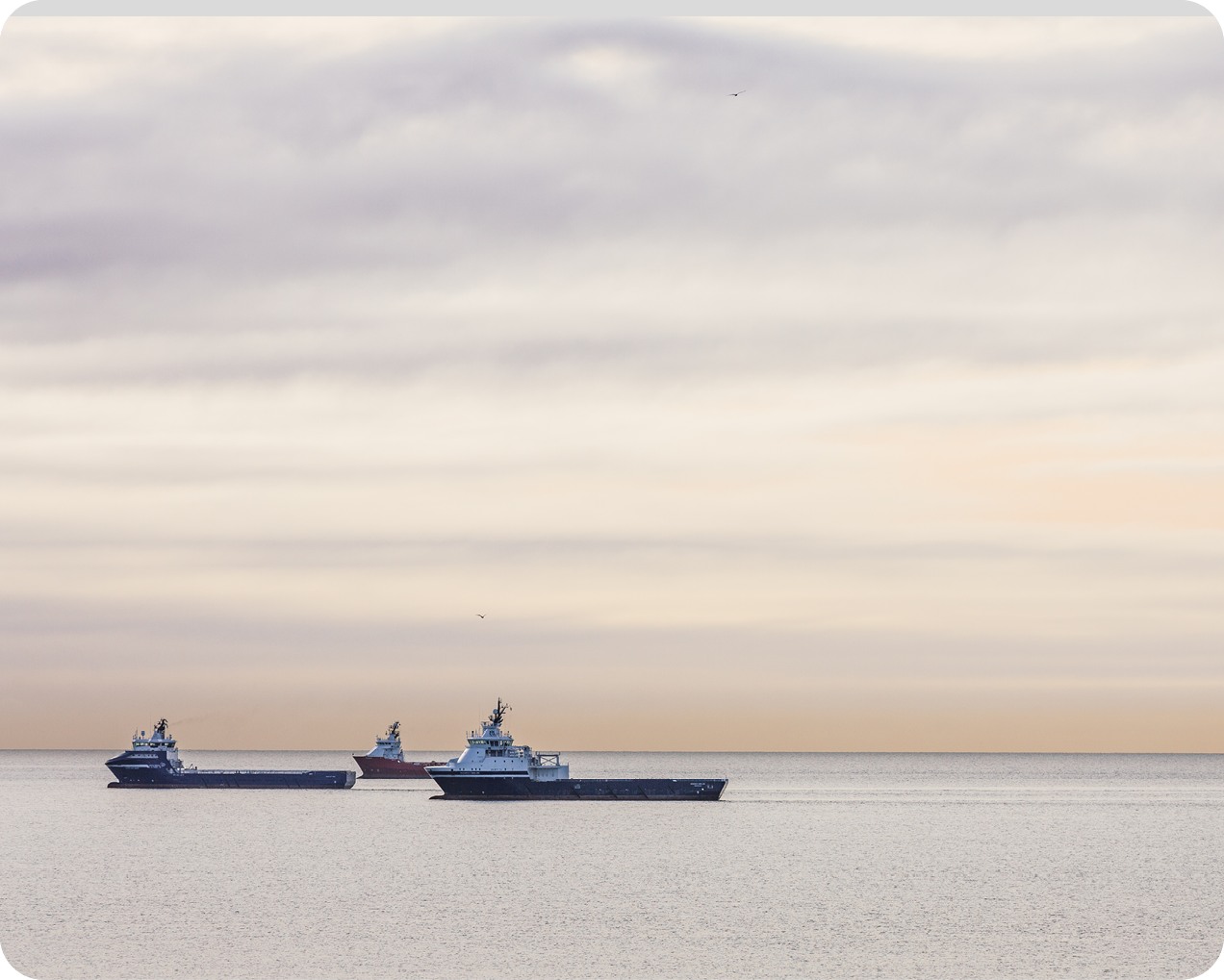 A group of oil rig platform supply vessels anchored in the coastal waters off Aberdeen, Scotland at dusk.